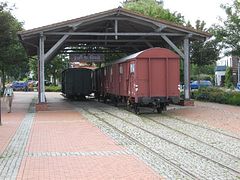 IMG_0099 (Medium)